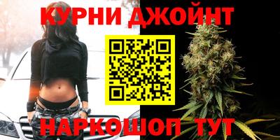 прущие грибы Краснознаменск