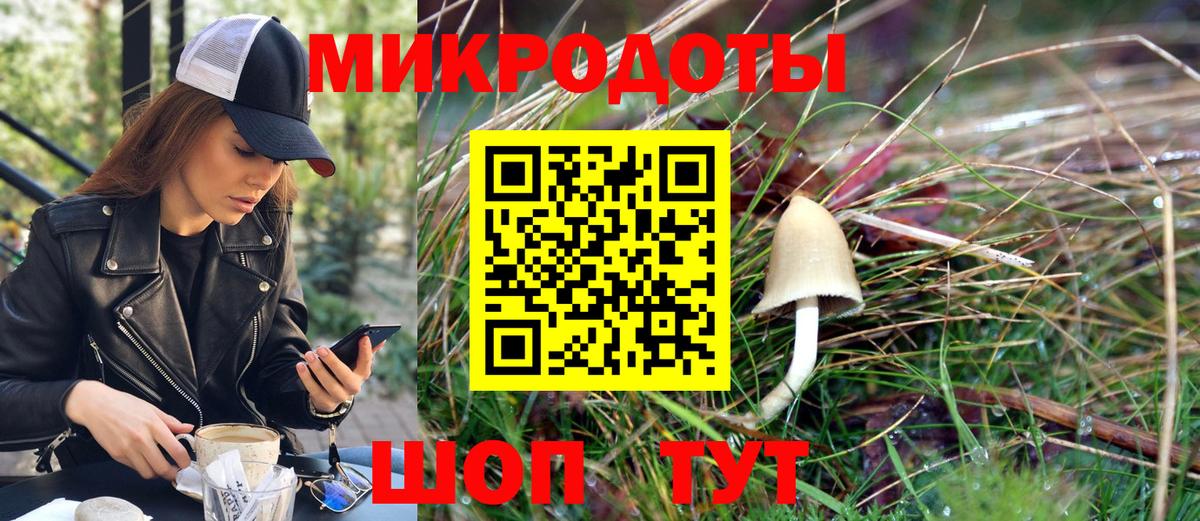 Каспийск  Псилоцибиновые грибы Psilocybe  Вход с VPN  Псилоцибиновые грибы Psilocybe 